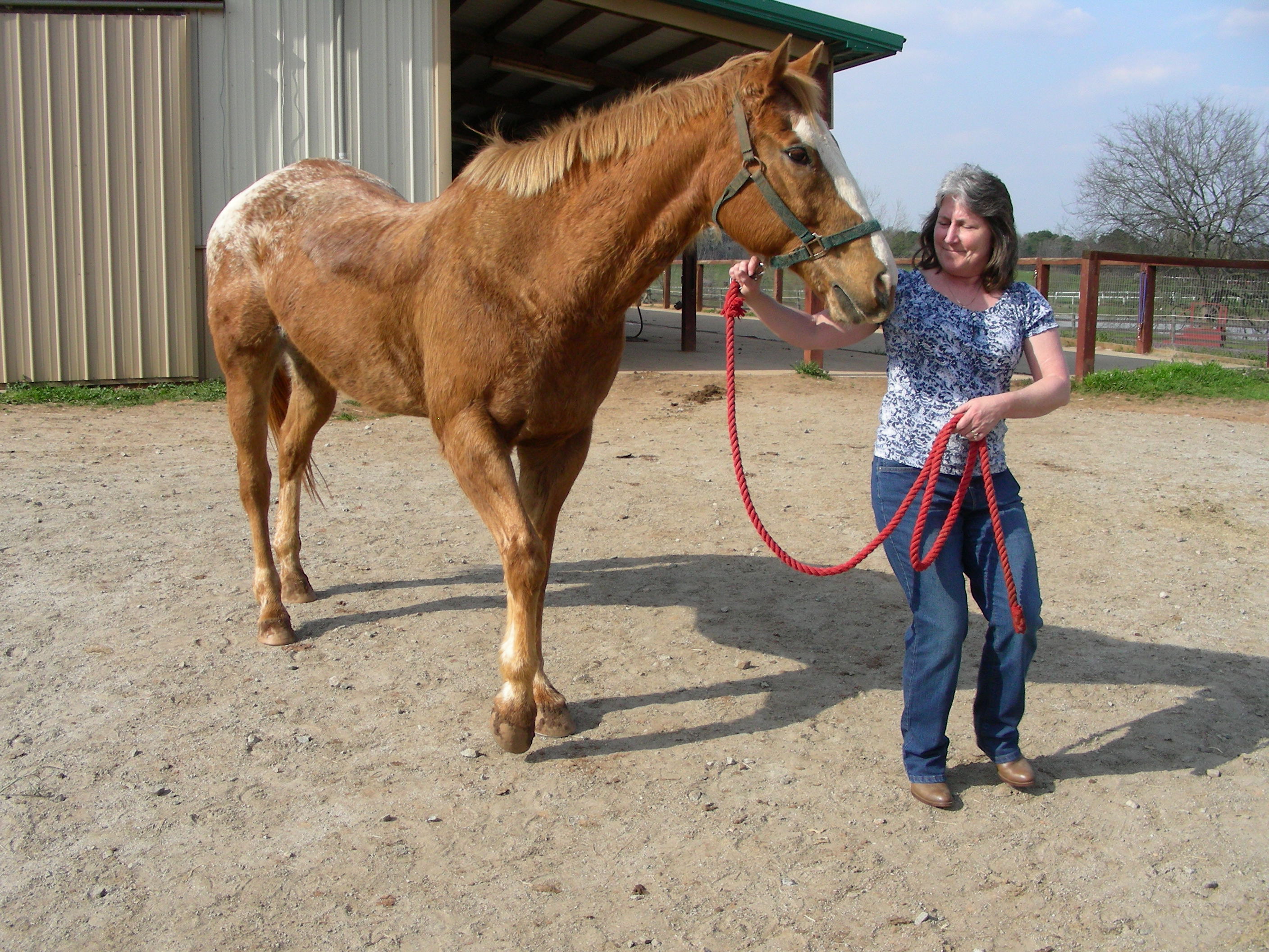 ./2014/Southern Cross/DSCN8985.JPG